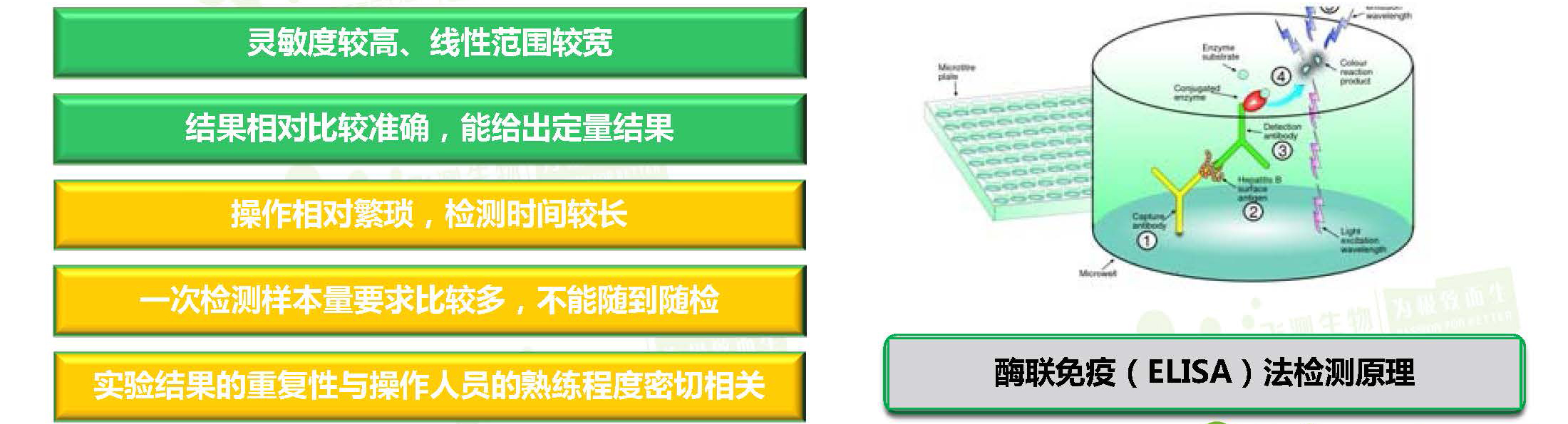 酶聯免疫分析方法（ELISA）