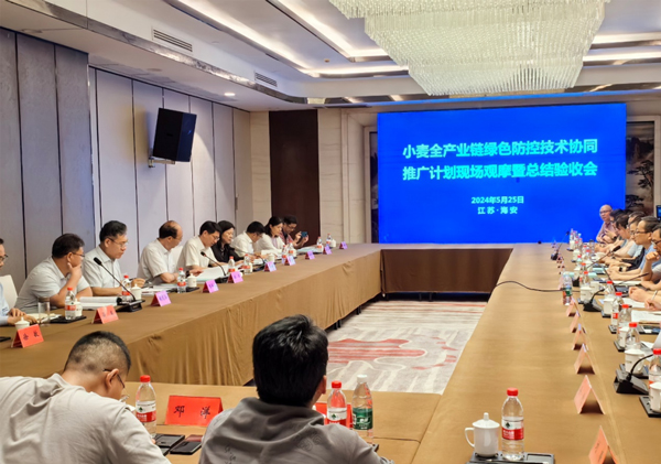 小麥全產(chǎn)業(yè)鏈綠色防控技術協(xié)同推廣計劃